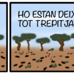 28 PIULET SENSE BOLETS