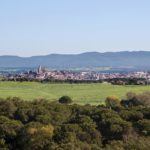LLAGOSTERA-CANBUFI1_0010