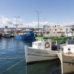 PALAMOS_0070