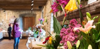 Flors Castell d'Aro