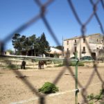 Monells