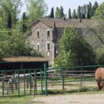 Monells
