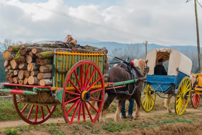 Festa sant antoni llagostera
