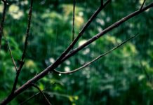pluja gavarres meteo