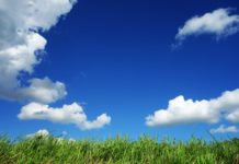 meteo gavarres primavera