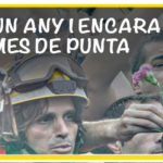 69 PIULET AMB PLOMES DE PUNTA