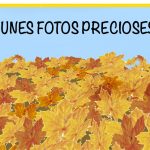 114 EN PIULET FULLES CAIGUDES