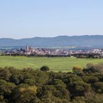 llagostera
