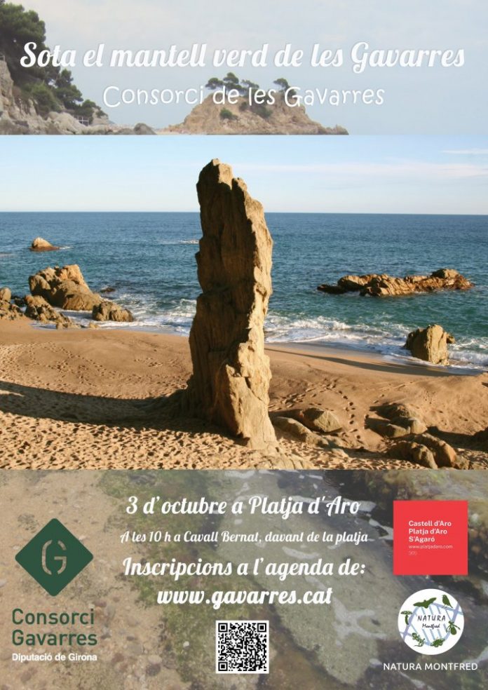 Sota el mantell verd de les Gavarres