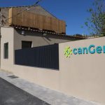 cangenis