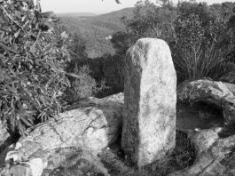 Les fites termeneres de Cassà,