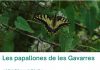 papallones de les gavarres