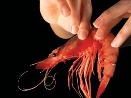 Menú de la Gamba calonge