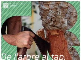 matinals sureres gavarres