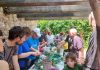 taller ratafia Sant Sadurní de l’Heura