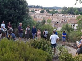 monells visita