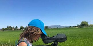 espai gratuït de lleure naturalista per a infants i joves