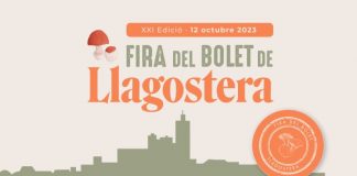Fira Bolet Llagostera 2023