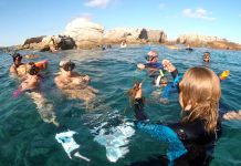 fons de les illes Formigues