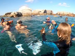 fons de les illes Formigues