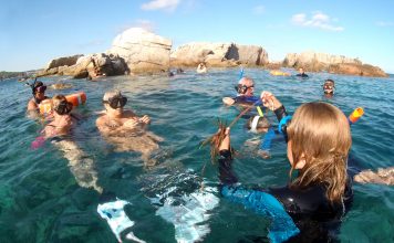 fons de les illes Formigues