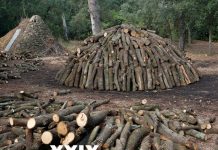 XXIX La Carbonera de Forallac 2023