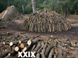 XXIX La Carbonera de Forallac 2023
