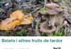 Bolets i altres fruites de tardor llambilles gavarres