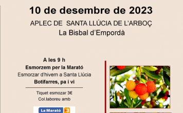 Aplec de Santa Llúcia