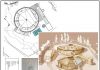 projecte fauna quart
