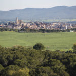 LLAGOSTERA-CANBUFI1_0008