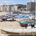 PALAMOS_0080