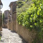 PERATALLADA_0013