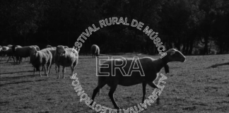 FESTIVAL'ERA