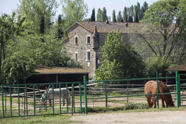 Monells