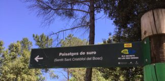 Sant Cristòfol del Bosc