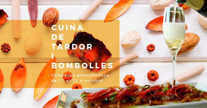 cuina de tardor i bombolles