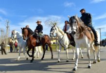 Festa sant antoni llagostera