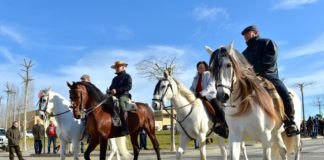 Festa sant antoni llagostera