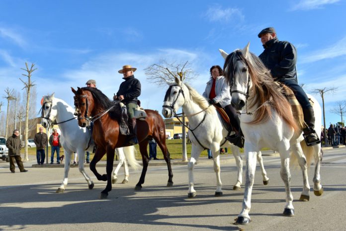 Festa sant antoni llagostera