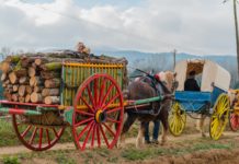 Festa sant antoni llagostera