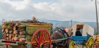 Festa sant antoni llagostera