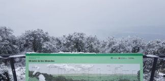 Romanyà de la Selva / gavarres