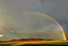 meteo gavarres