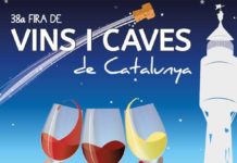 vins i caves Catalunya eccocivi