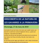 caminades gavarres
