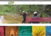 web turisme girones