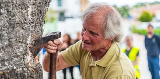 eloi madirà. Pela suro Gavarres