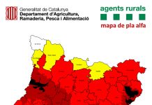 mapa pla alfa gavarres