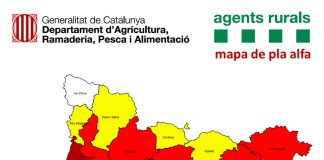 mapa pla alfa gavarres